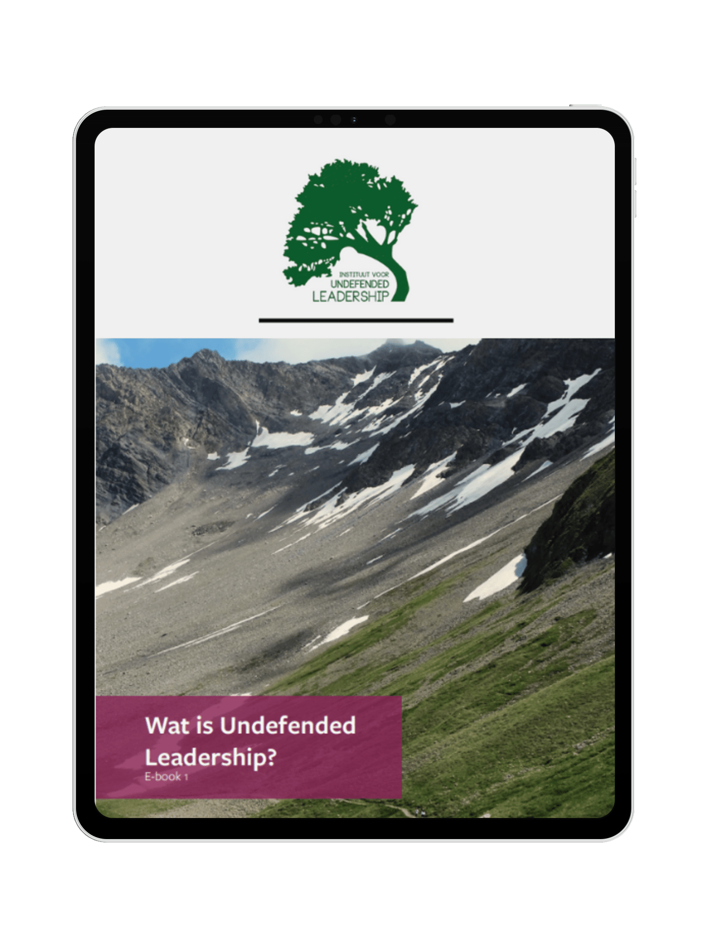 Ontvang ons gratis e-book ‘Wat is Undefended Leadership?’