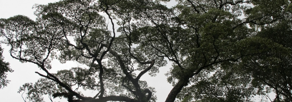 Is kwetsbaarheid soft?