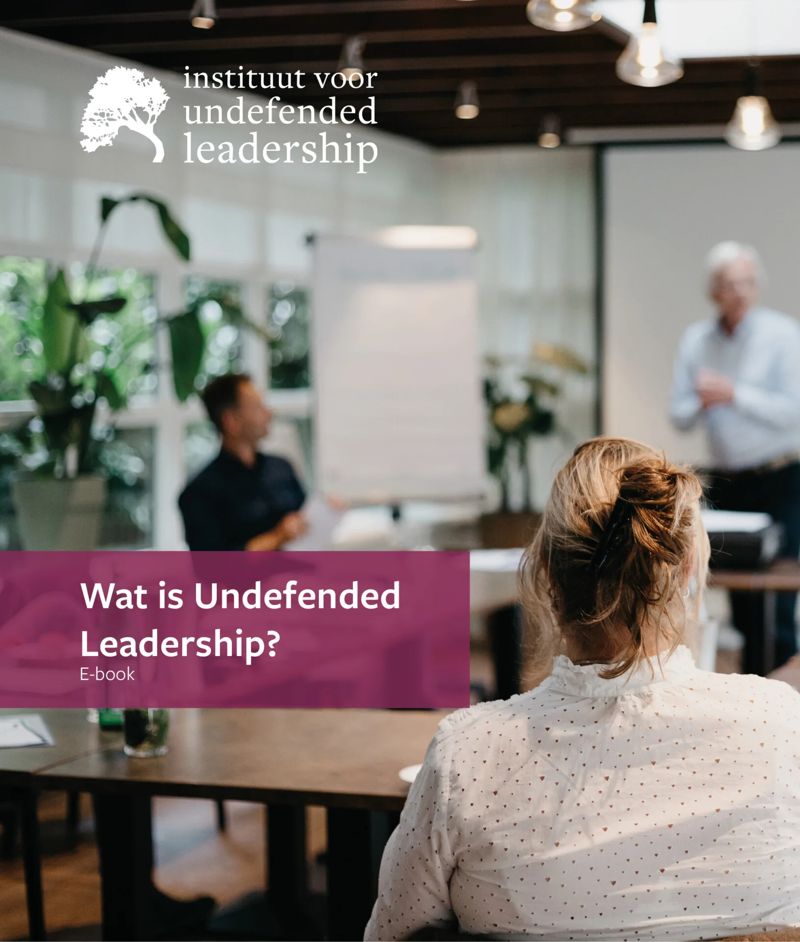 Foto van trainingssetting met titel 'Wat is Undefended Leadership?'